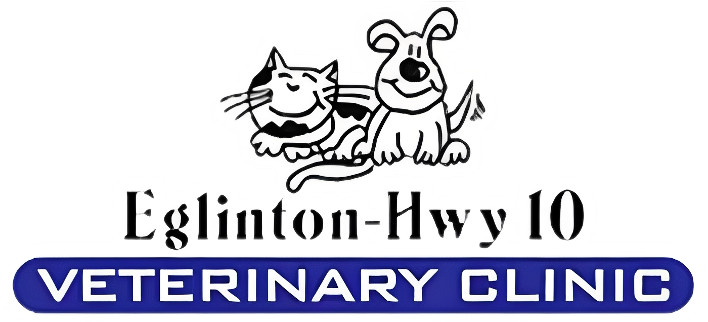 Eglinton-Hwy 10 Veterinary Clinic