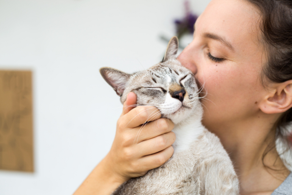 Mississauga, ON Veterinary Services EglintonHwy 10 Vet