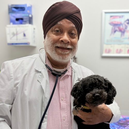 Dr. Davinder Jassal DVM MSc. Dr. Davinder Jassal